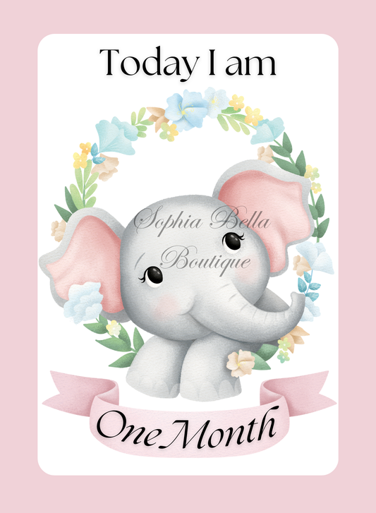 12 x Elephant Baby Milestone Cards Digital Download - Pink One Month - One Year | Sophia Bella Boutique