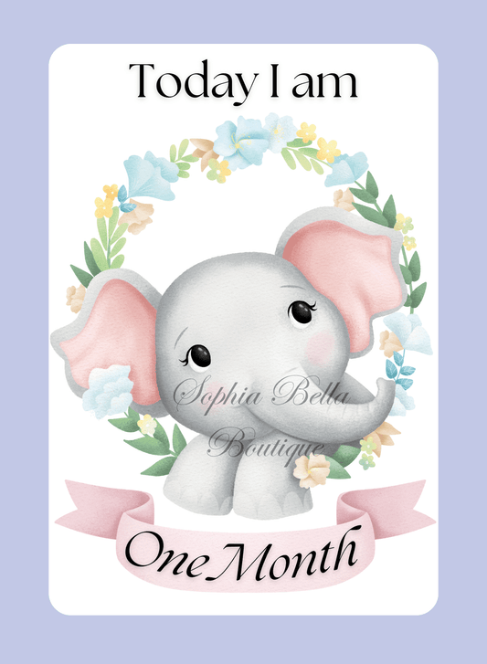 12 x Blue Elephant Baby Milestone Cards - One Month - One Year Digital Download | Sophia Bella Boutique