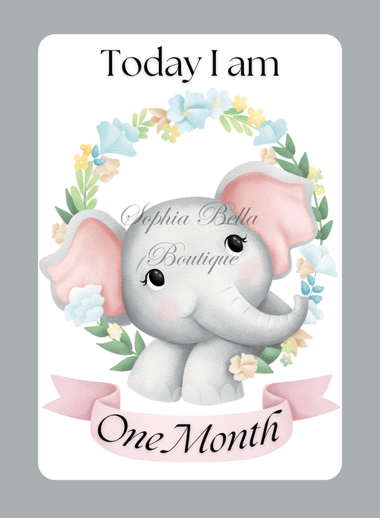 12 x Grey Elephant Baby Milestone Cards Digital Download - One Month - One Year | Sophia Bella Boutique